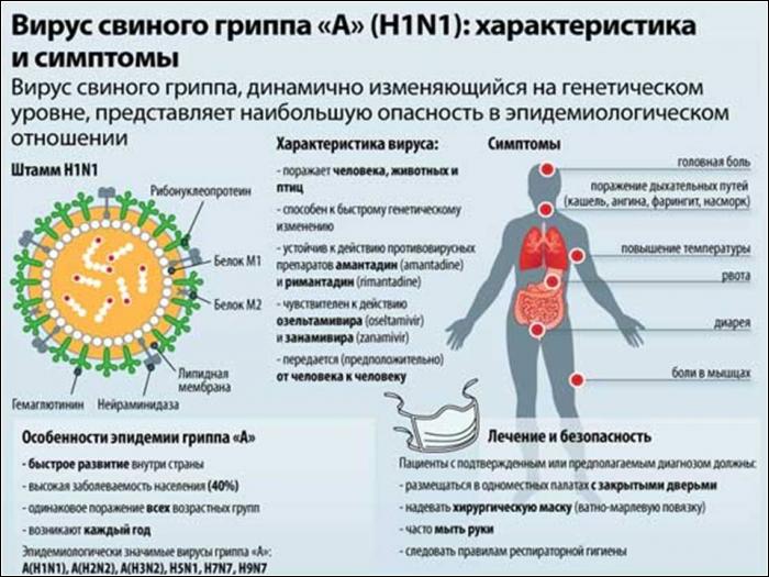 Что делать при свином гриппе?