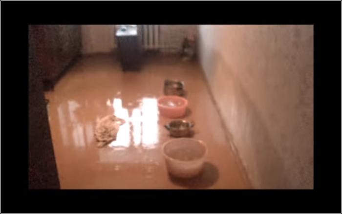 Мокрое дело: В Кандалакше затопило несколько квартир из-за бездействия УК "Домовой". Видео