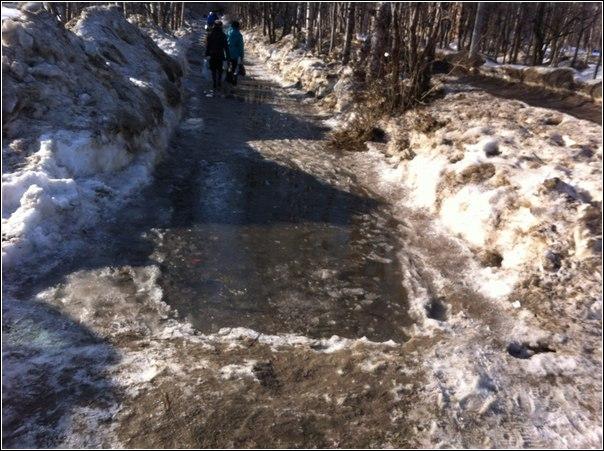 В Кандалакше на Ниве-3 организуют пруд
