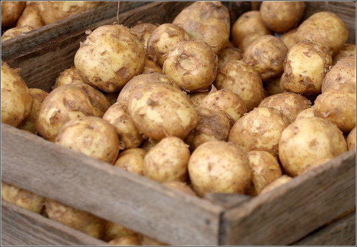 В Мурманской области в июне картофель подорожал на 40%
