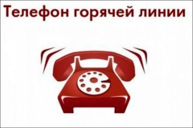 18 ноября в Отделении ПФР по Мурманской области состоится «прямая линия» по вопросам материнского капитала