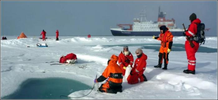 Ученые нашли в Арктике следы первых животных на Земле