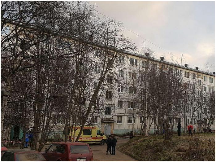 В Апатитах в квартире жилого дома найдены мины