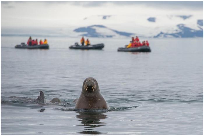 В СовФеде предлагают законодательно поддержать туризм в Арктике